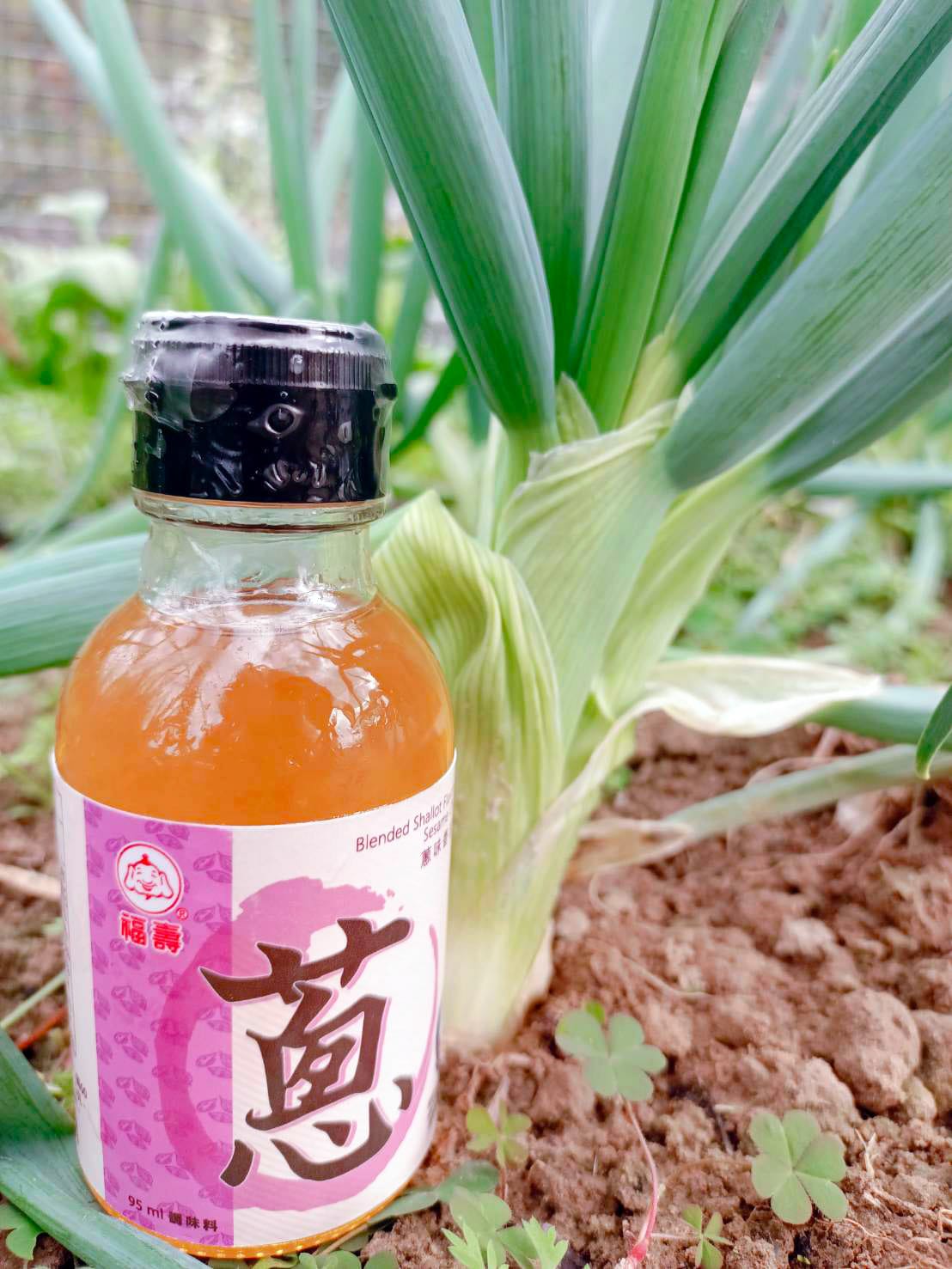 福壽風味油,蔥,風味油推薦 福壽風味油,蔥,風味油推薦