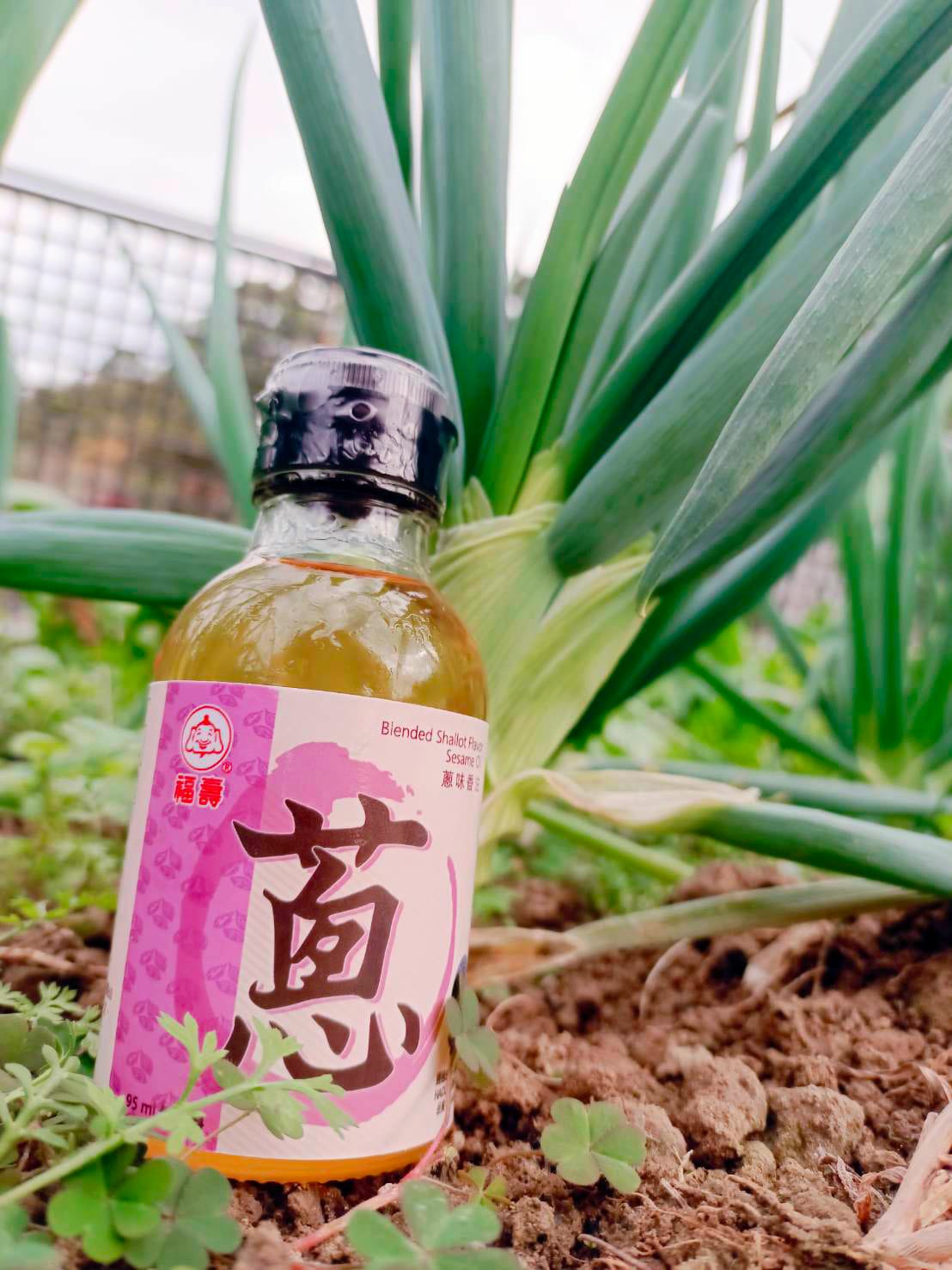 蔥,福壽風味油,蔥味香油 蔥,福壽風味油,蔥味香油