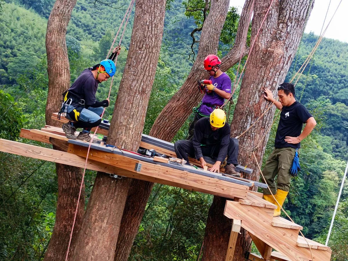 樹屋搭建,樹屋協會,樹屋雛形