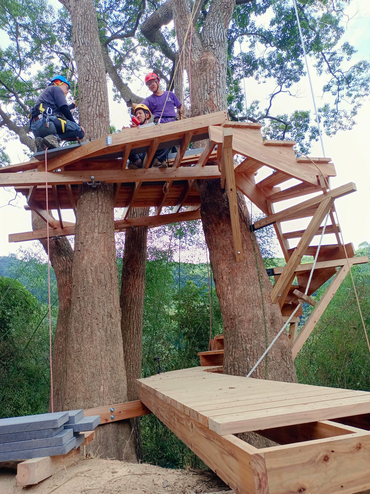 樹屋製作,樹屋協會,山上種樹