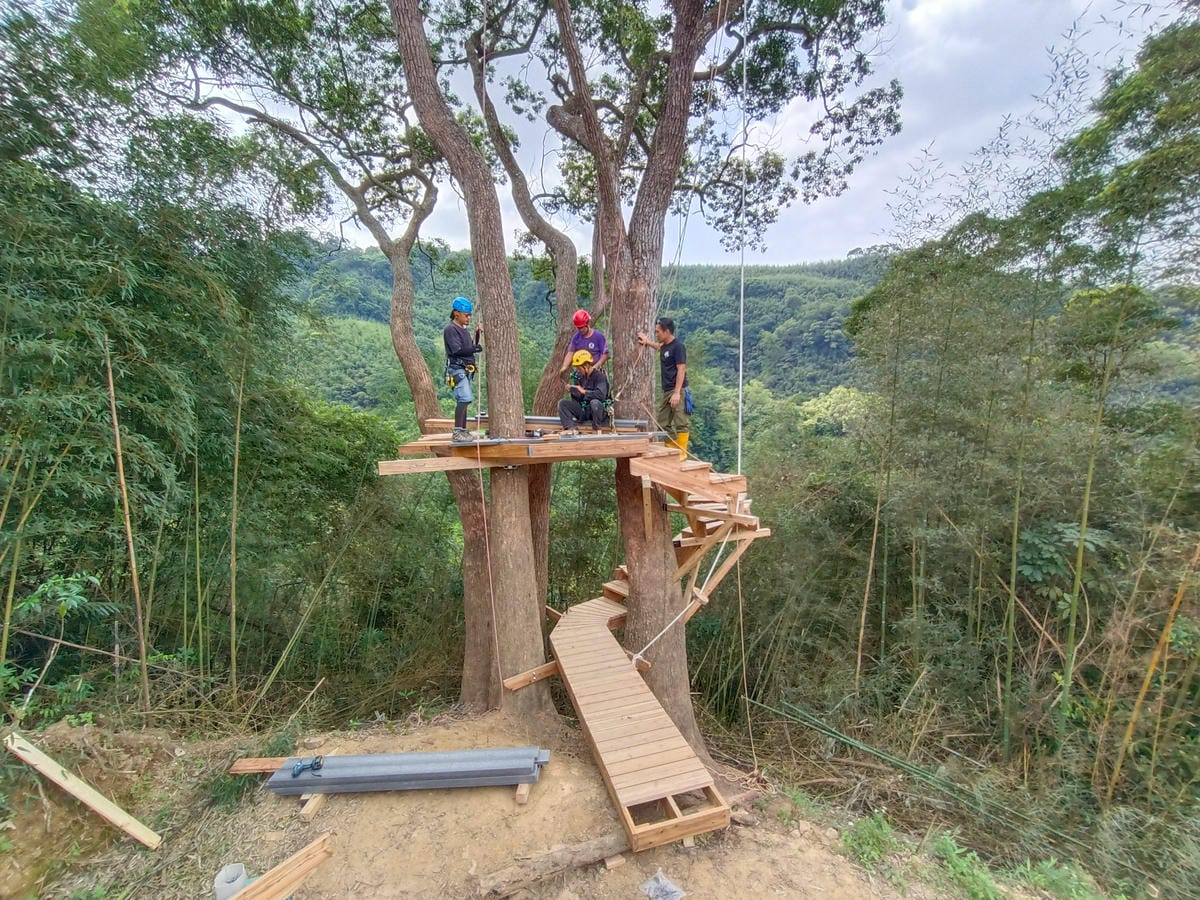 高處拍攝,樹屋搭建過程,樹屋組裝