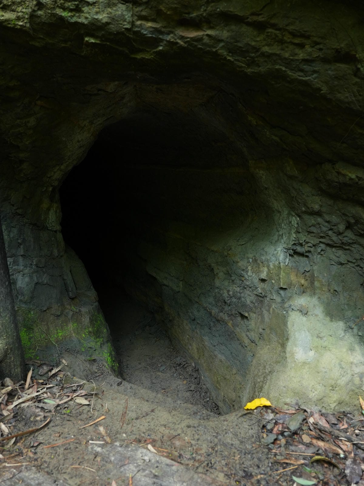 古圳道洞口,大窩生態園區,伯公潭古圳道