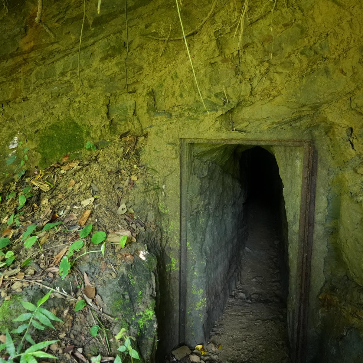 古圳道口,大窩生態園區,台3線藝術節