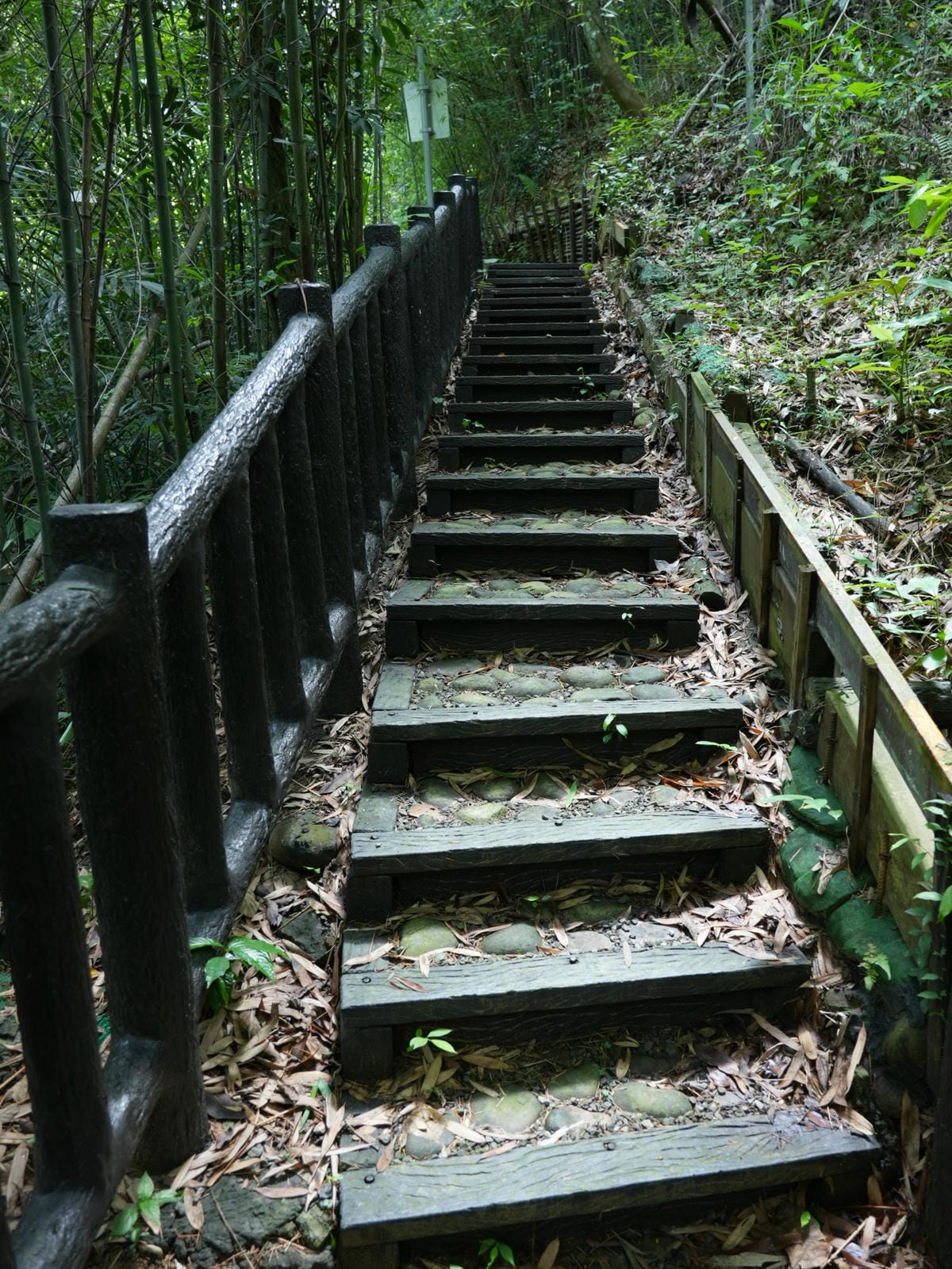 伯公潭古圳道,竹橋,大窩生態園區