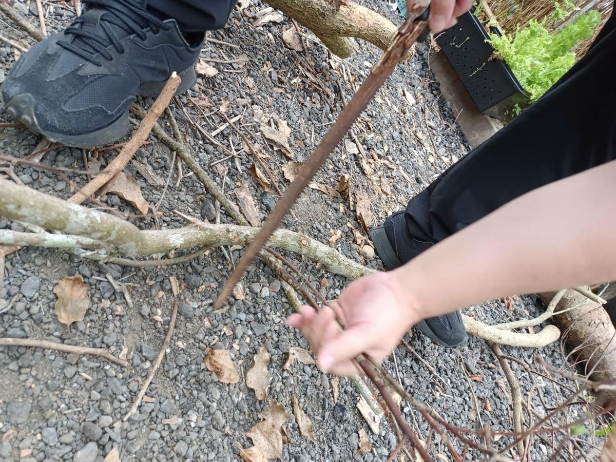 戶外餐桌,包區露營,營火木材 戶外餐桌,包區露營,營火木材