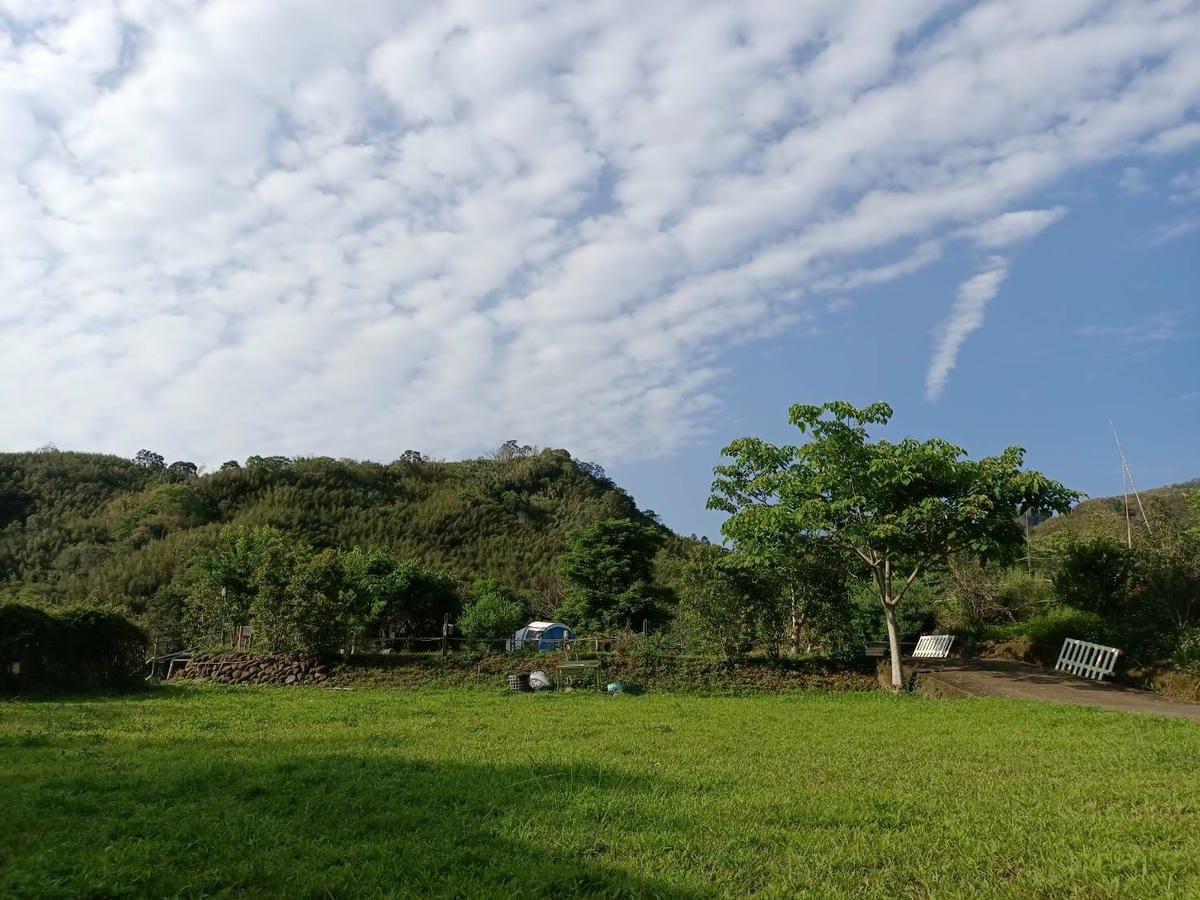 草地,社寮角露營區,我的創業故事