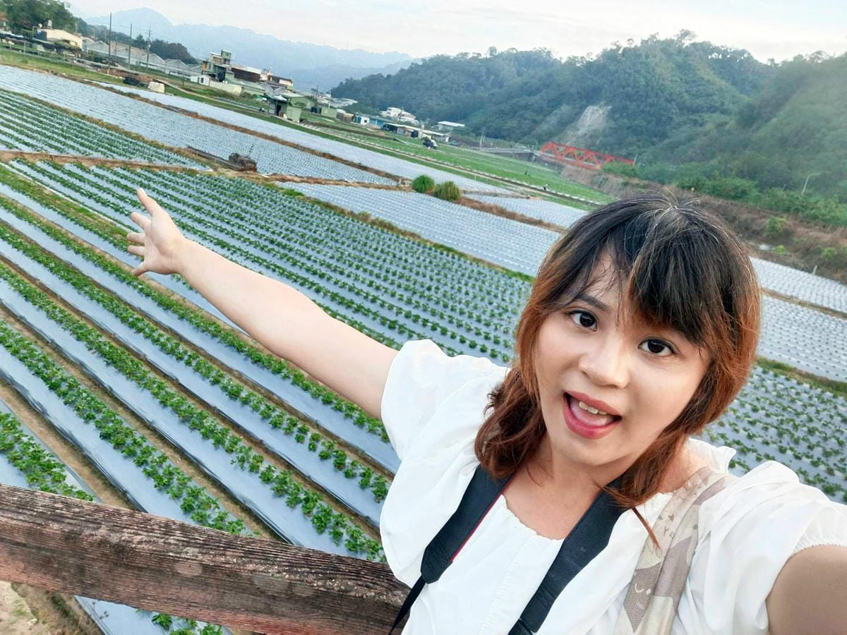草莓田拍攝,大湖景點推薦,南湖溪堤岸自行車道