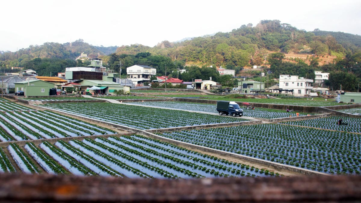 草莓季,大湖景點介紹,南湖溪堤岸自行車道