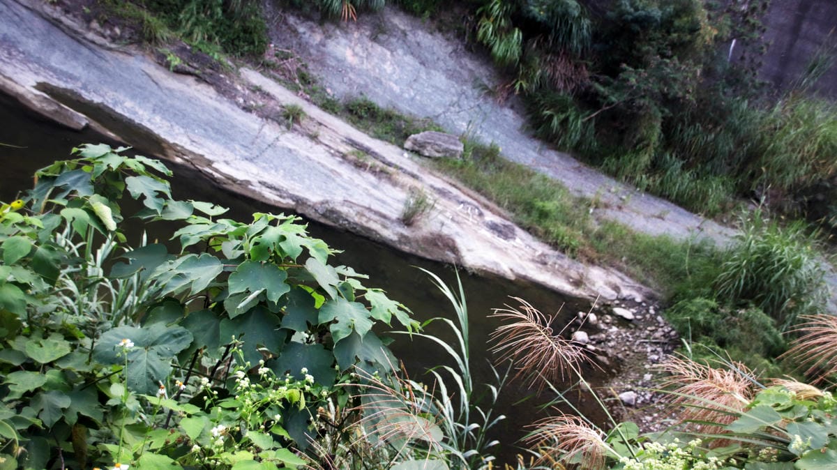 南湖溪,自然景觀,南湖溪堤岸自行車道