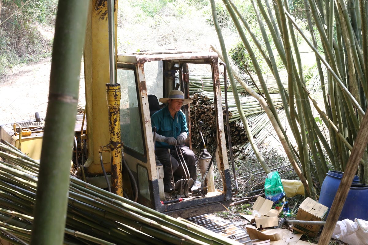 怪手載運,竹子批發,大湖竹子行