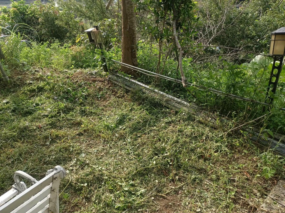東林電動割草機,鋰電池割草機,除草示範場域