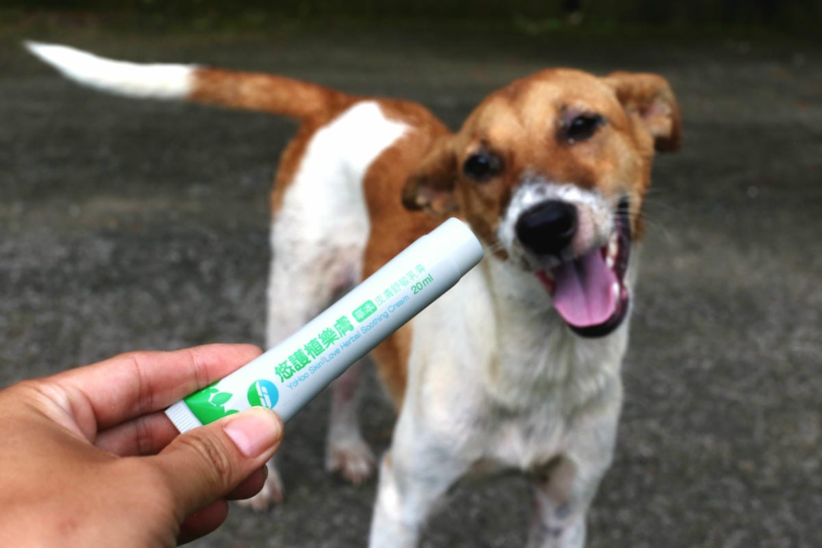 樂膚草本皮膚舒敏乳膏,天然植物,寵物誤食問題 樂膚草本皮膚舒敏乳膏,天然植物,寵物誤食問題
