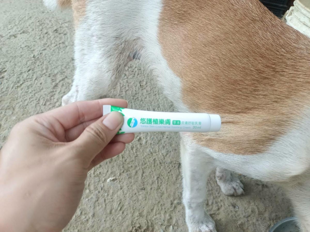 寵物用品,樂膚草本皮膚舒敏乳膏,寵物照護