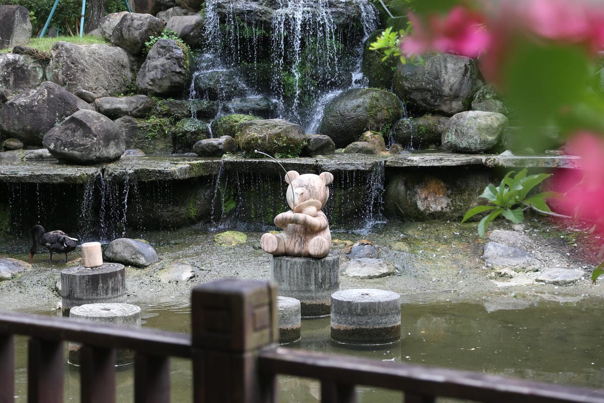 生態池,巧克力雲莊,大湖景點推薦 生態池,巧克力雲莊,大湖景點推薦