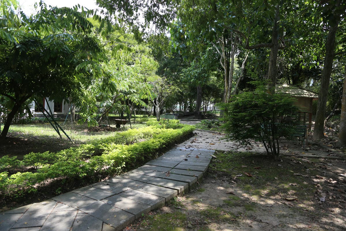 植物園,巧克力雲莊,大湖景點推薦 植物園,巧克力雲莊,大湖景點推薦