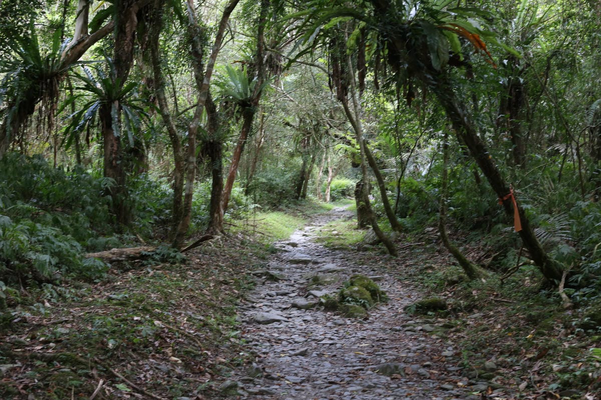 松羅國家步道,綠蔭小路,光角共學營體驗