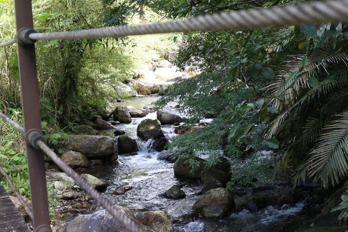 溪流,松羅步道,共學營體驗