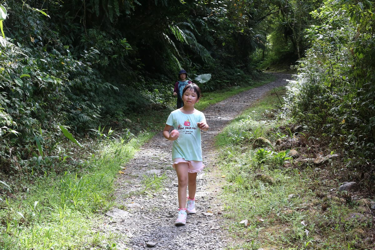 松羅體驗,光角共學營,溪河木露營區周邊