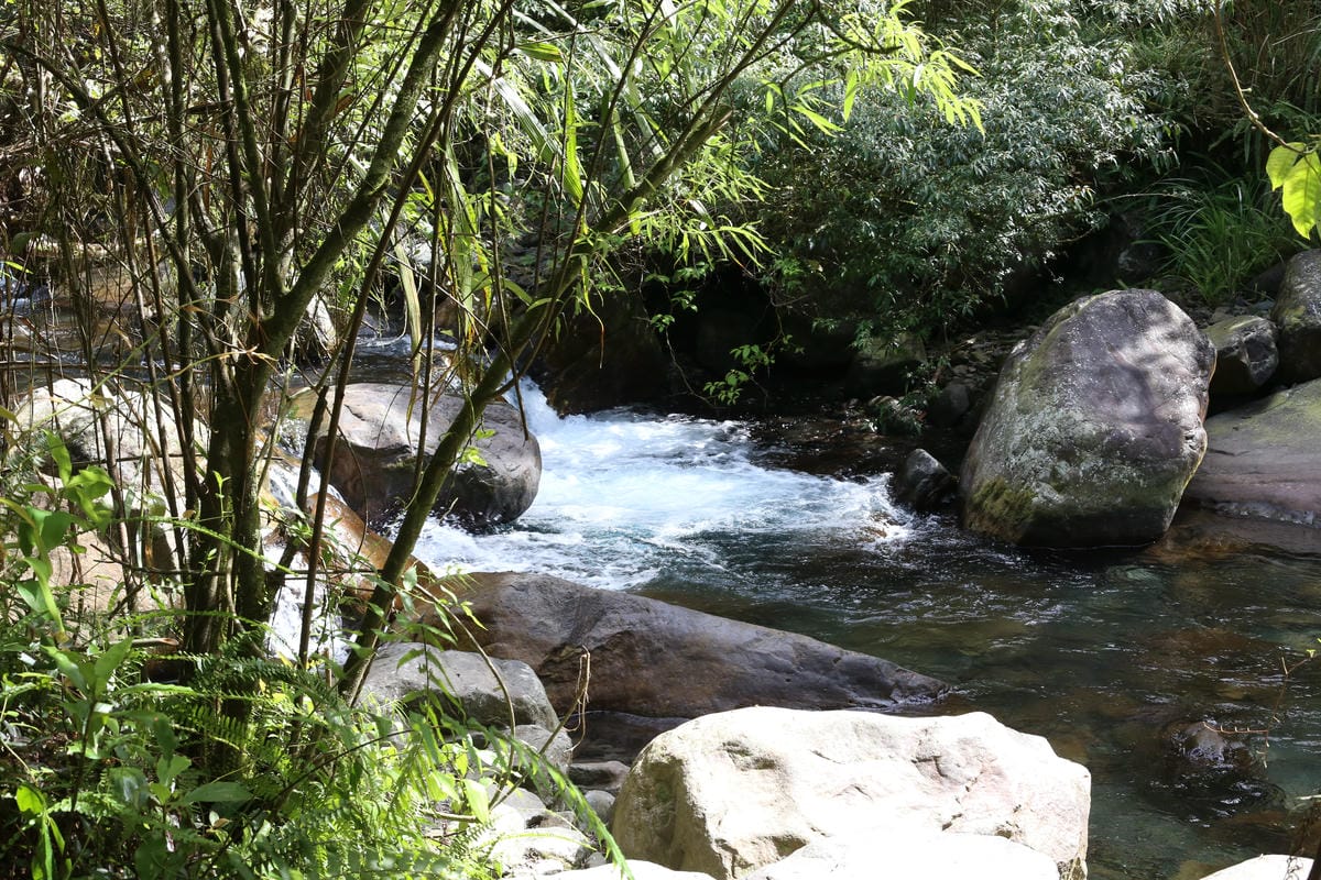 松羅步道,溪河木露營區周邊,宜蘭露營推薦