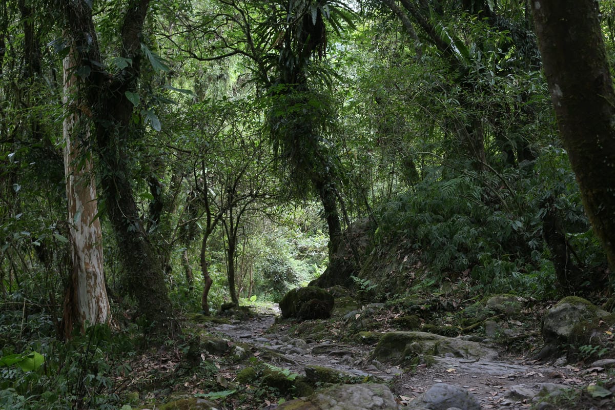 梭羅國家步道,溪河木露營區周邊,共學營體驗