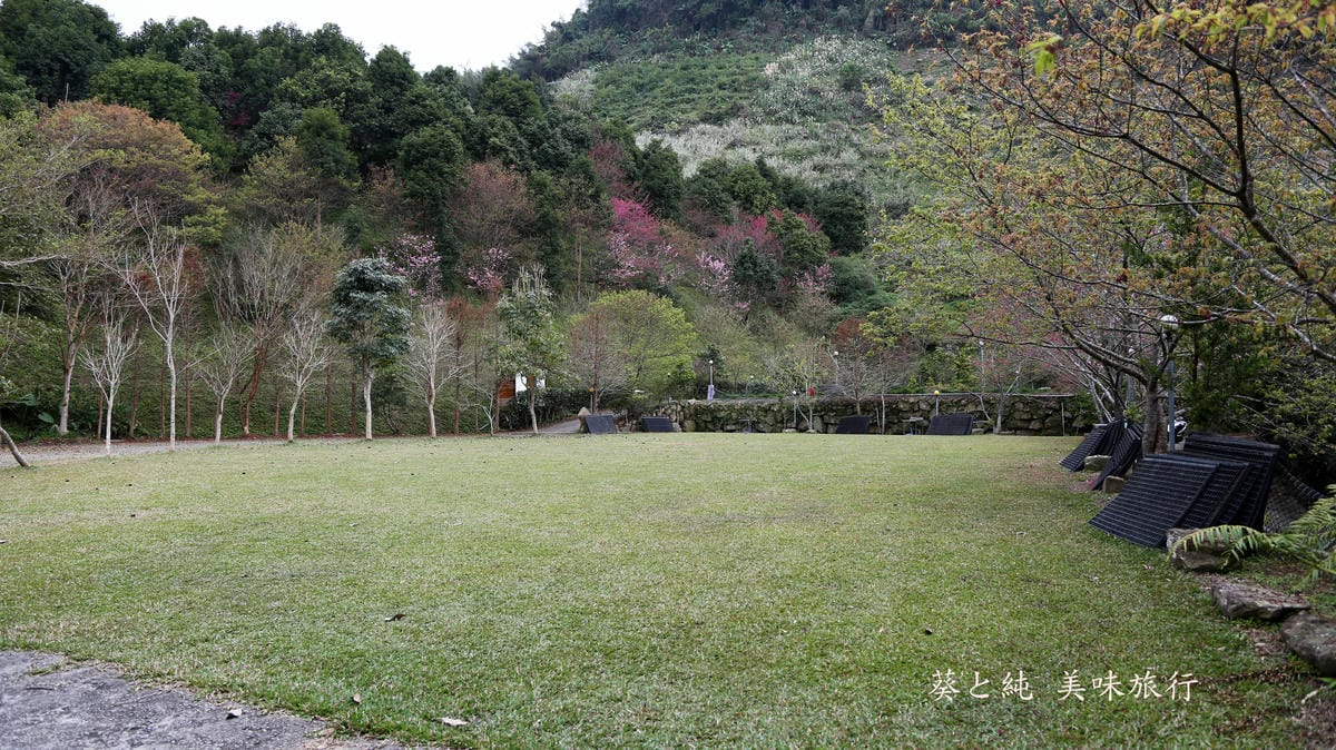 露營E區,想當年露營區,草地現況