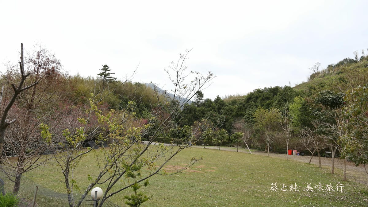 露營E區,想當年露營區,露營推薦