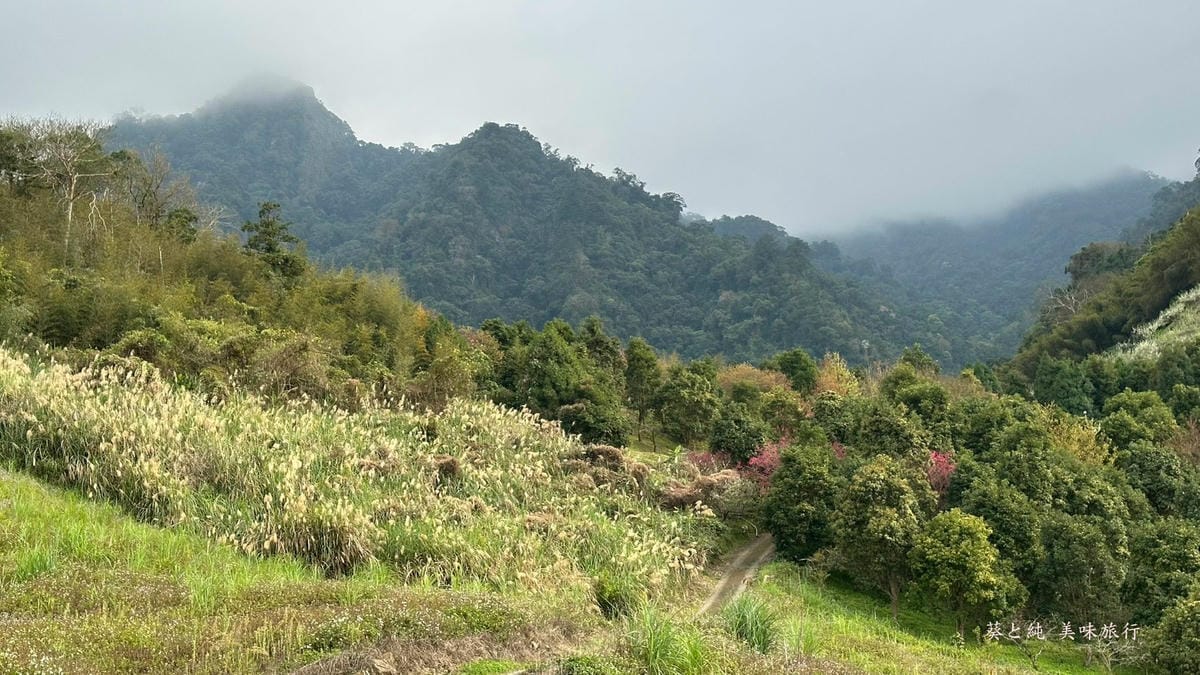 山景,想當年露營區,泰安景點