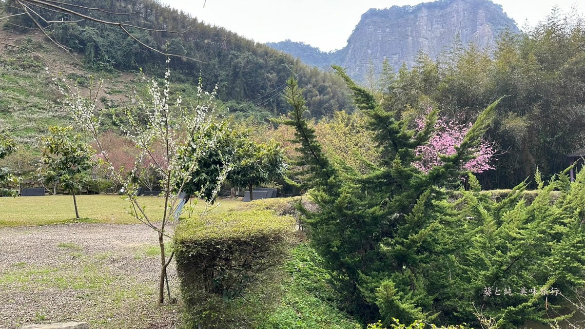 營地綠植,想當年露營區,泰安景點
