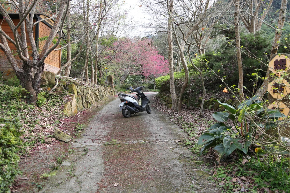 想當年露營區,機車露營,泰安露營區