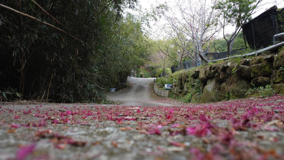 想當年露營區.台灣旅遊,苗栗微旅行