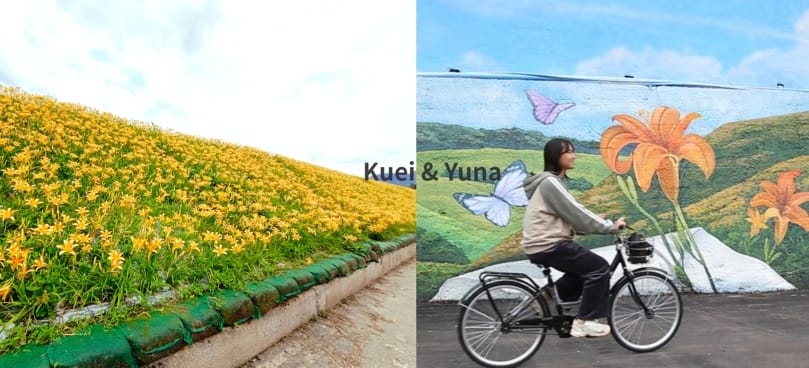 goldenlily-大湖金針花-自行車小旅行 goldenlily-大湖金針花-自行車小旅行