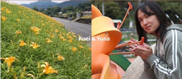 goldenlily-大湖金針花-金針花堤防 goldenlily-大湖金針花-金針花堤防