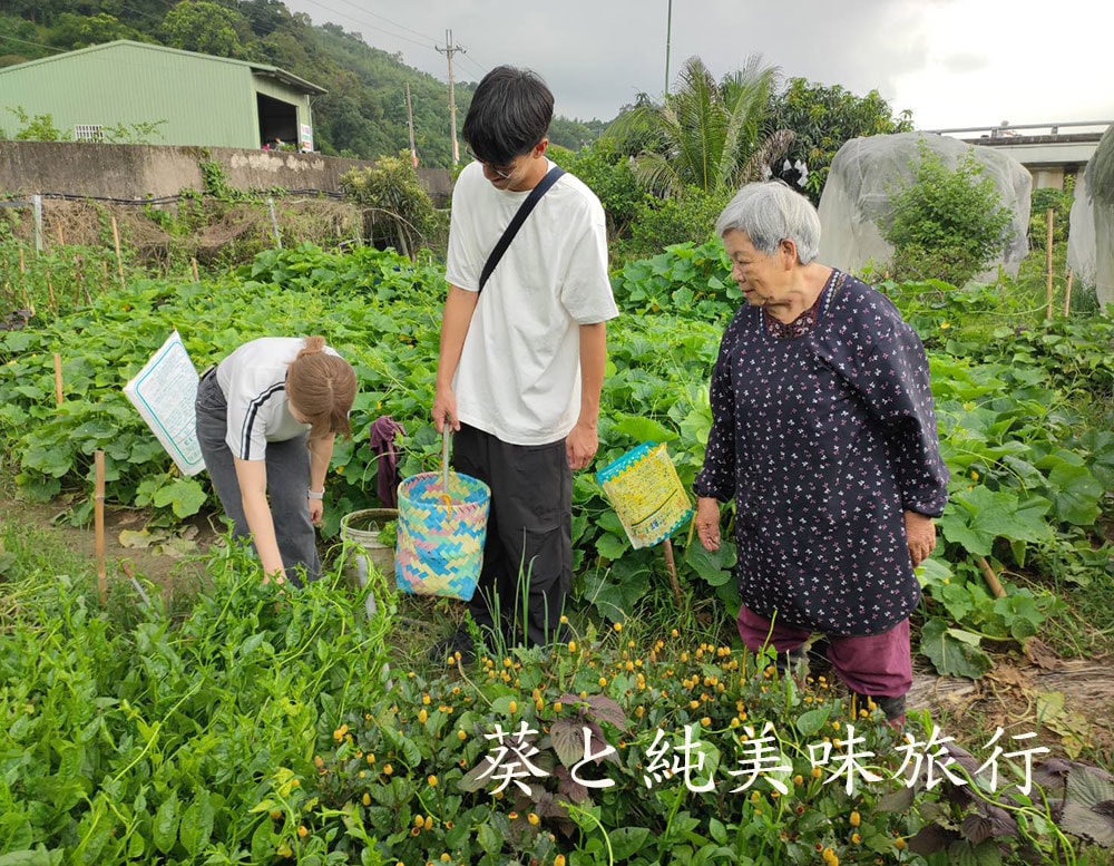 社寮角露營區｜阿婆田園採菜體驗，小農生活與土地味道
