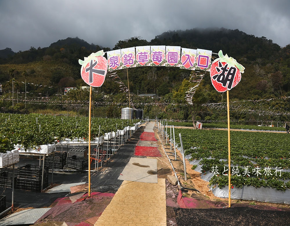 住在草莓園旁的一晚|泉銘行館,大湖住宿推薦 - 第4張圖 住在草莓園旁的一晚|泉銘行館,大湖住宿推薦