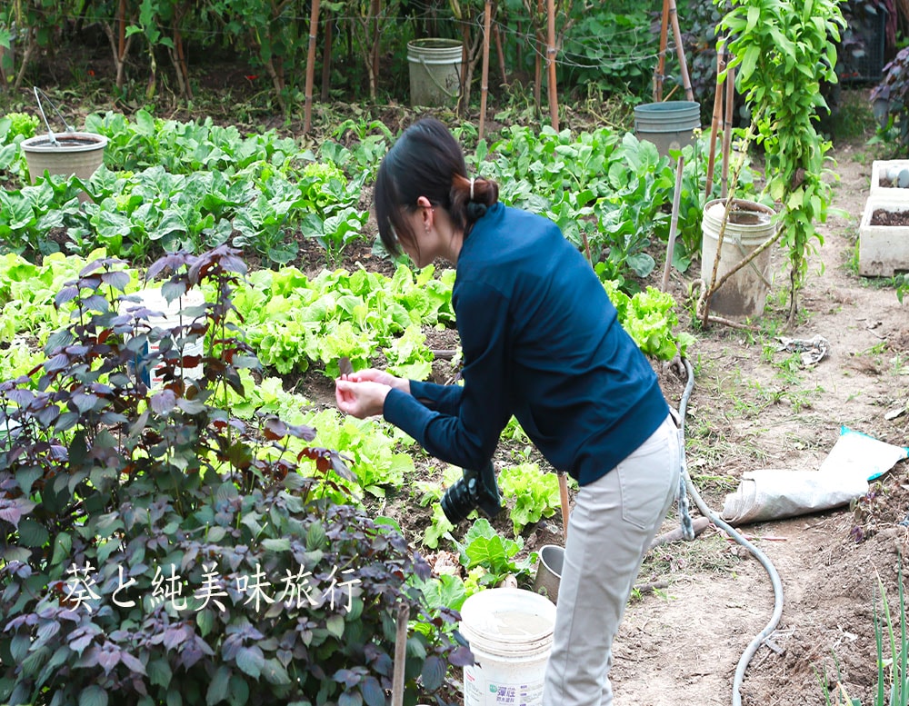 社寮角露營區｜小農生活體驗與田園日常，在大湖慢慢生活的露營時光
