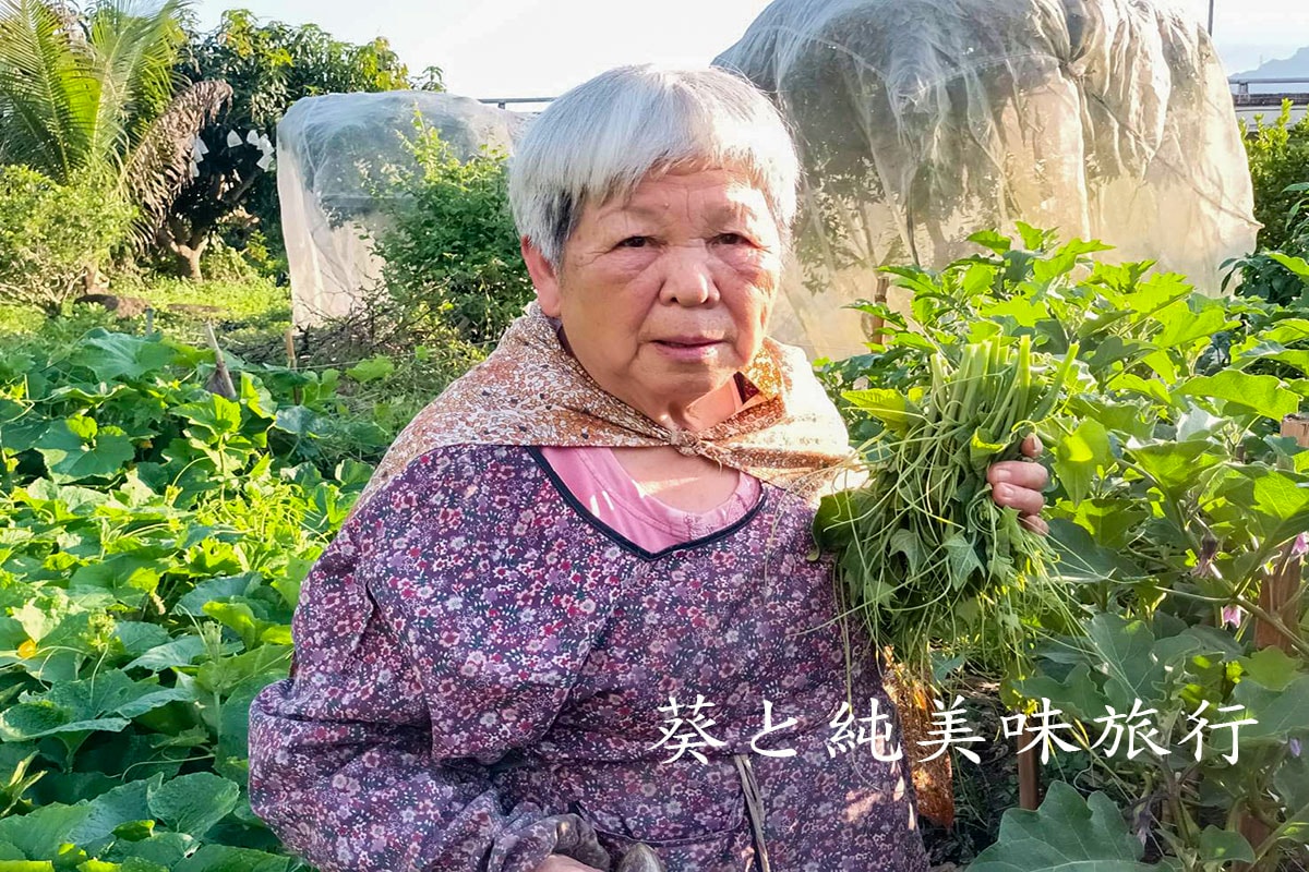 紅葉萵苣別只做沙拉！農村創意料理｜媽媽的雞肉捲做法分享