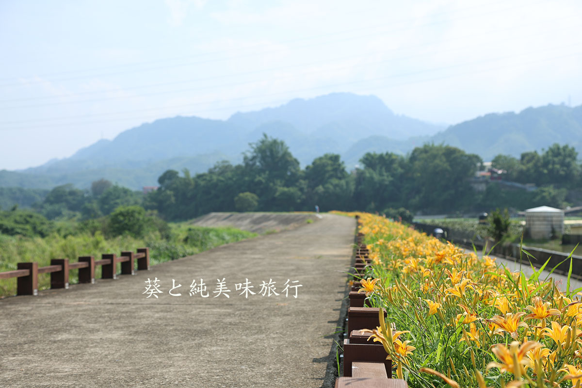 大湖金針花堤防河畔與夏秋露營民宿一日遊